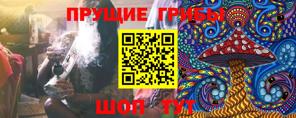 Псилоцибиновые грибы MAGIC MUSHROOMS Чернушка
