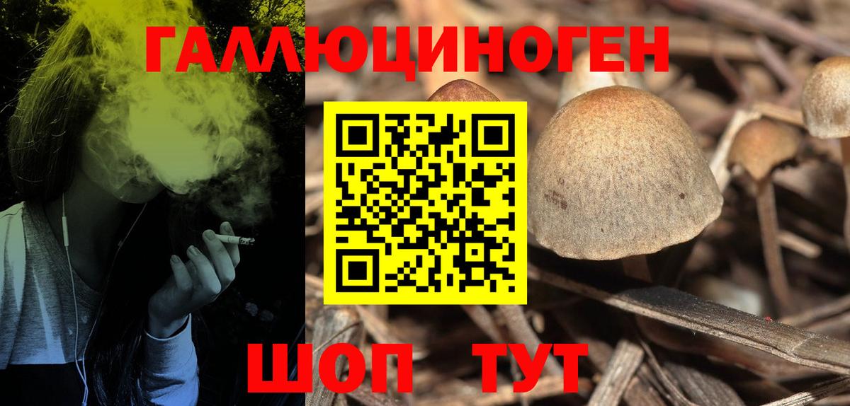 Чернушка  Галлюциногенные грибы мухоморы  Вход с VPN 