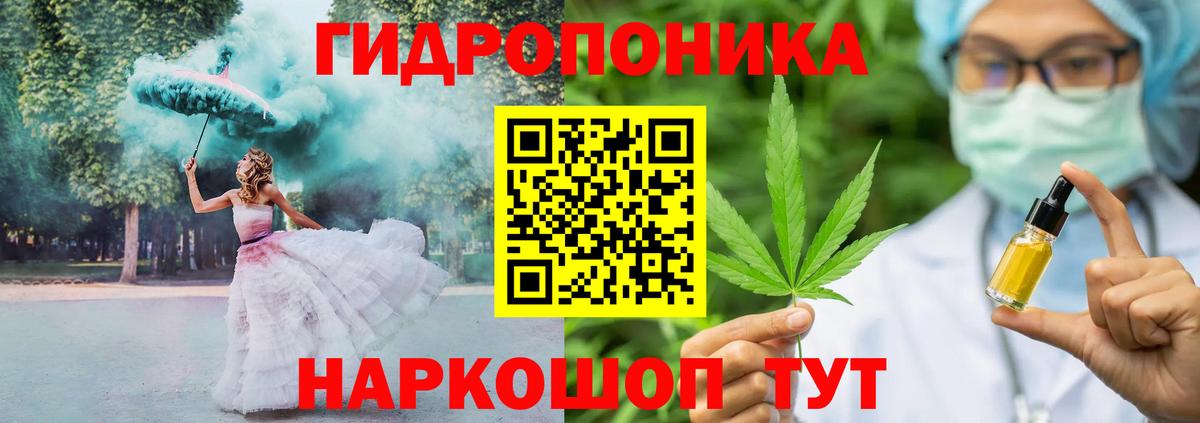 МАРИХУАНА сатива Чернушка